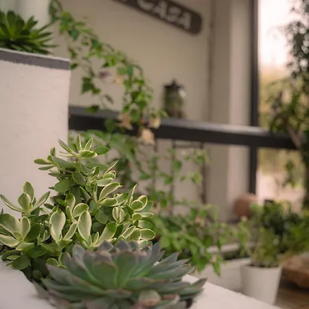 La Casa Neo 斯特拉海滩