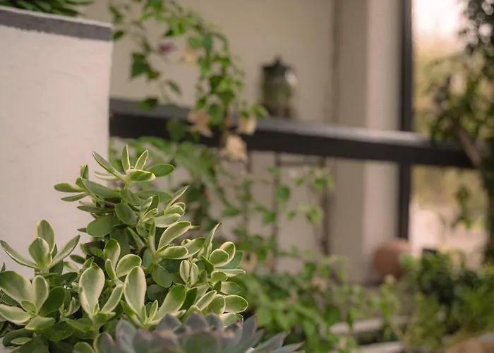 La Casa Néo Stella-Plage