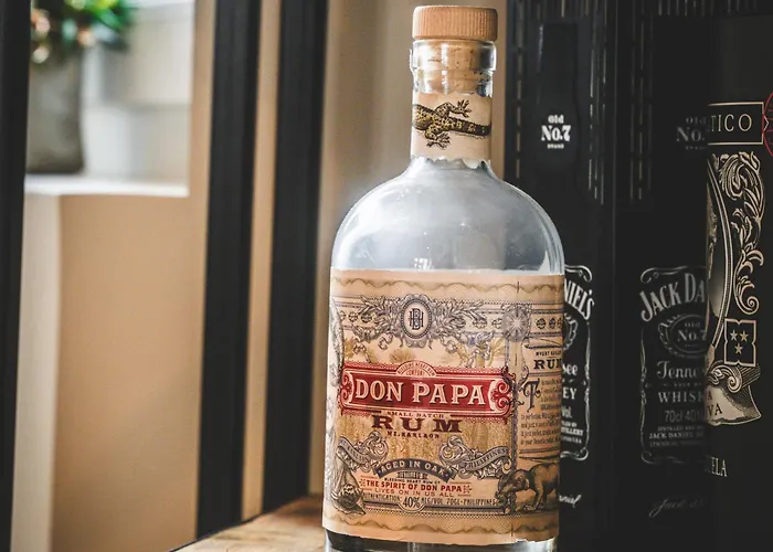 Hébergement de vacances La Casa Néo Stella-Plage